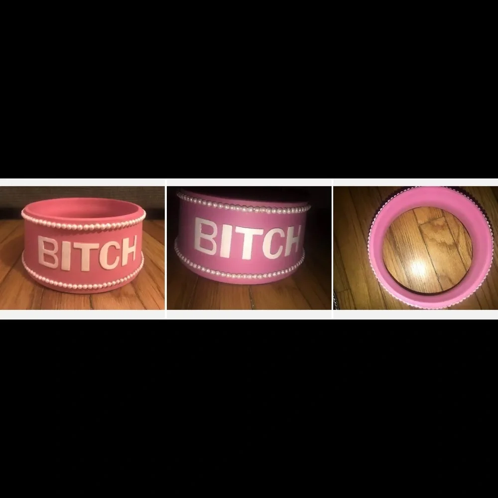B*tch Fashionable Dog Bowl Pink Pearl-Lined Large Poly-Resin Water Feeder Holder